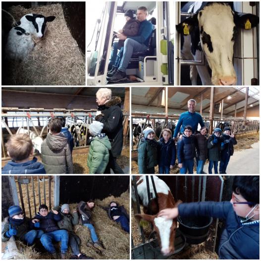 Bauernhofbesuch der Klasse E1a