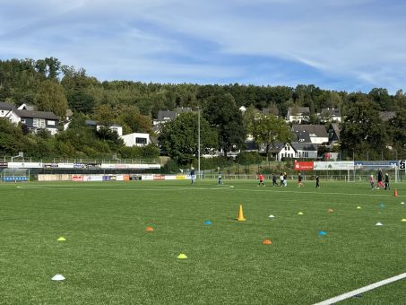 Sportabzeichen 2024