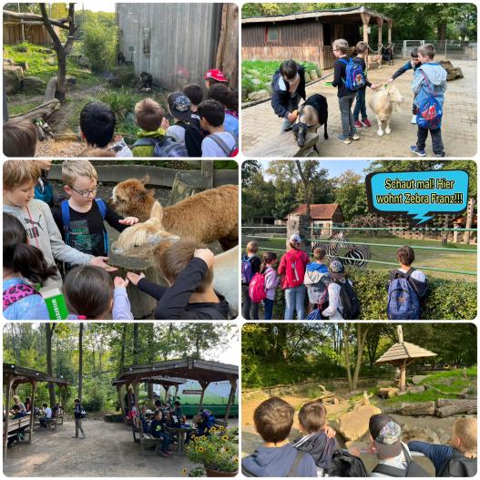 Schulausflug in den Tierpark Hamm 🚌 oder der Besuch bei Zebra Franz 🦓 und seinen Freunden 😉