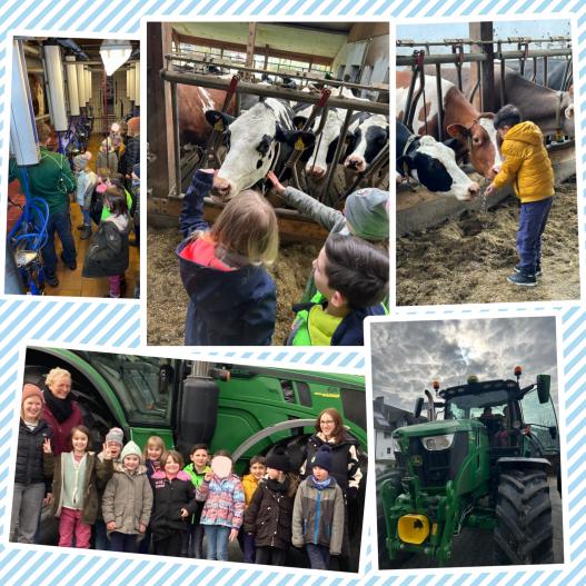 Bauernhof-Besuch